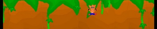 Crash Bandicoot 2D