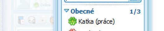 Icq 5.1 v češtině