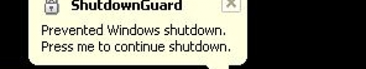 ShutdownGuard