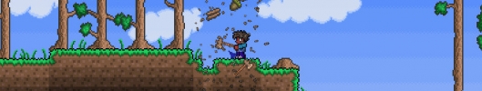 Terraria