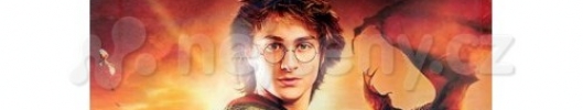 Harry Potter a Ohnivý pohár