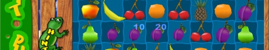 Fruit Puzzle