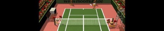 Moorhuhn Tennis