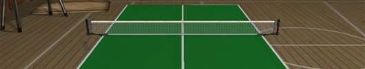 Ping - Pong