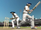 Náhled k programu Brian Lara International Cricket 2005