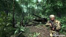 Náhled k programu Crysis patch 1.2