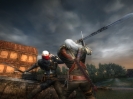 Náhled programu The Witcher. Download The Witcher