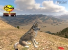 Náhled programu WolfQuest. Download WolfQuest