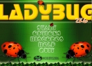 Náhled k programu LadyBug 2k6